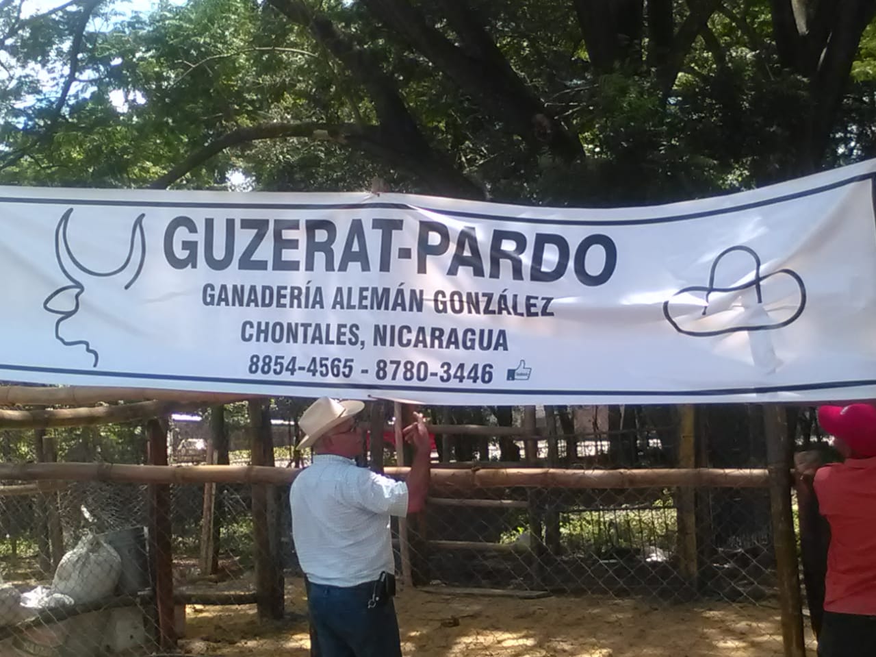 ganado1